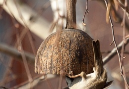 img-0007