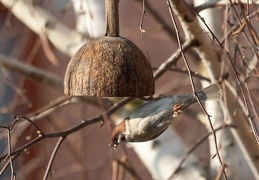 img-0010