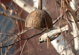 img-0012