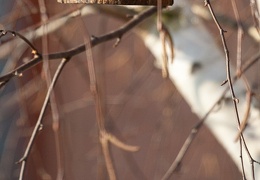 img-0013